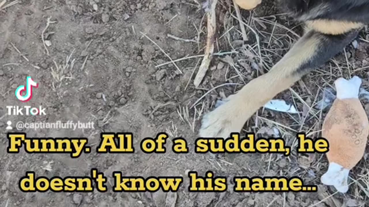 Finding that perfect stick!