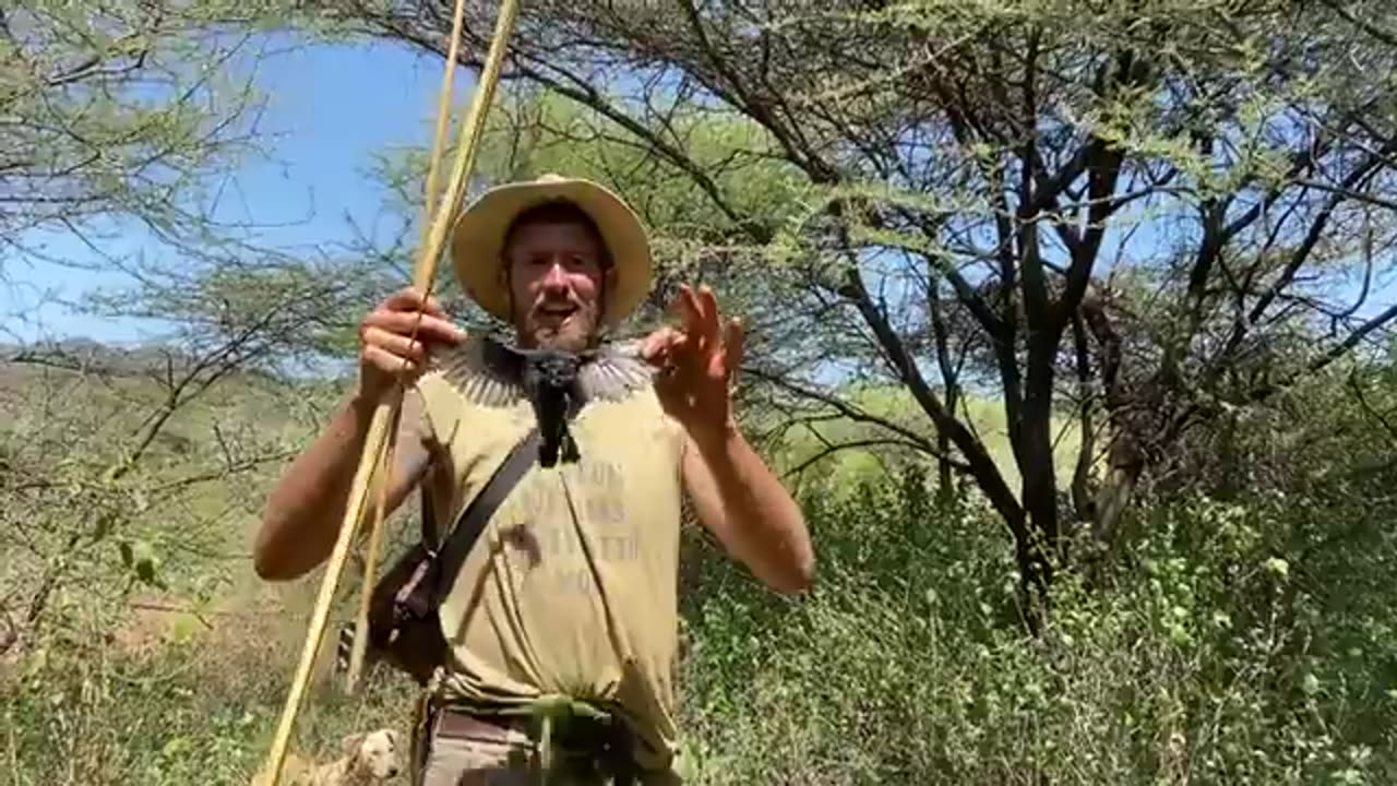 Eating Black mamba and wild honey from stinging bees: A Hadza Documentary