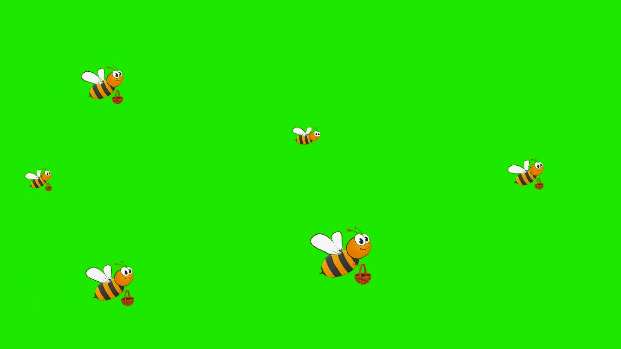 Bee HD cartoon green screen