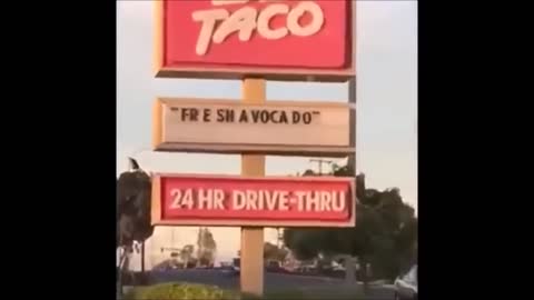 Best Vine Compilation