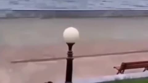 Funny videos 😂