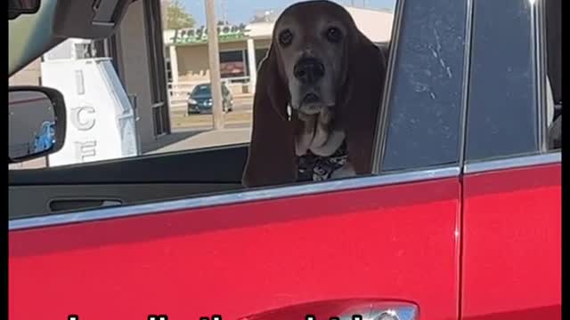 Grandmas uber driver!