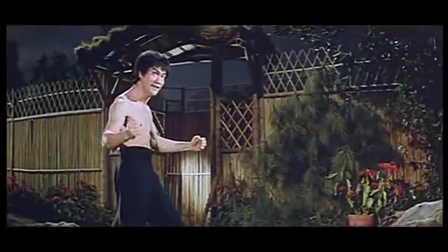 Bruce Lee vs Robert fight