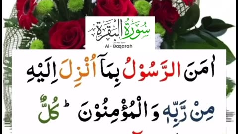 Surah baqrah last 2 آیات beautiful recitation ❤️ Islamic video, Islamic status