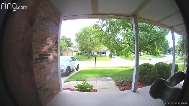 Bird Pecks at Ring Doorbell