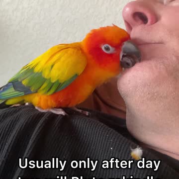 Parrot's special relationship with his grandfather