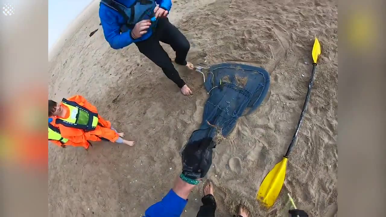 Kayakers help save seal pups entangled in netting