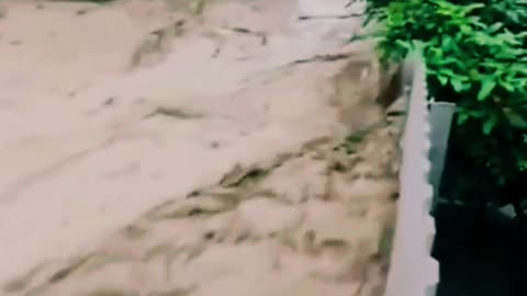 House flooded #viralshort #1millionviews #nature #naturedisaster