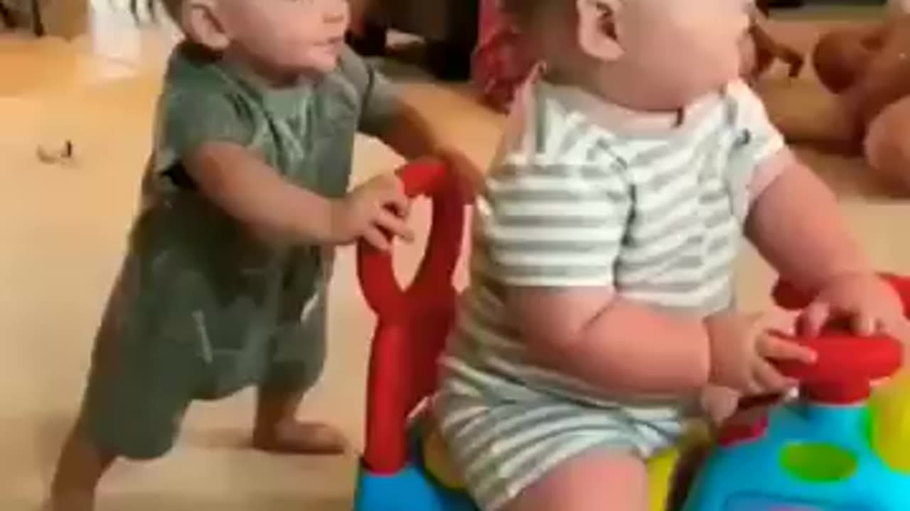 Funny dog videos