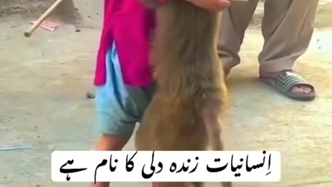 A baby boy gifts money to monkey for food and monkey hugs to baby boy for his kindness ❤️