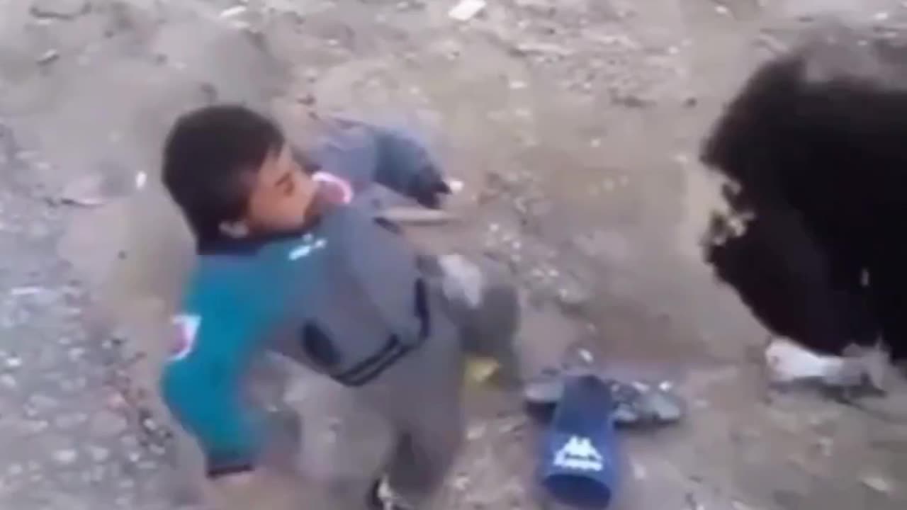 A goat Vs Small man