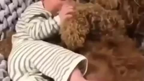 A baby, and a dog cuddle moments