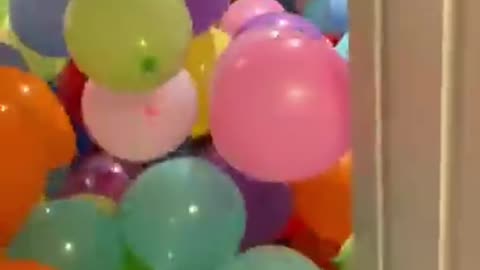 Balloon Prank with a Twist! - ShammiClips