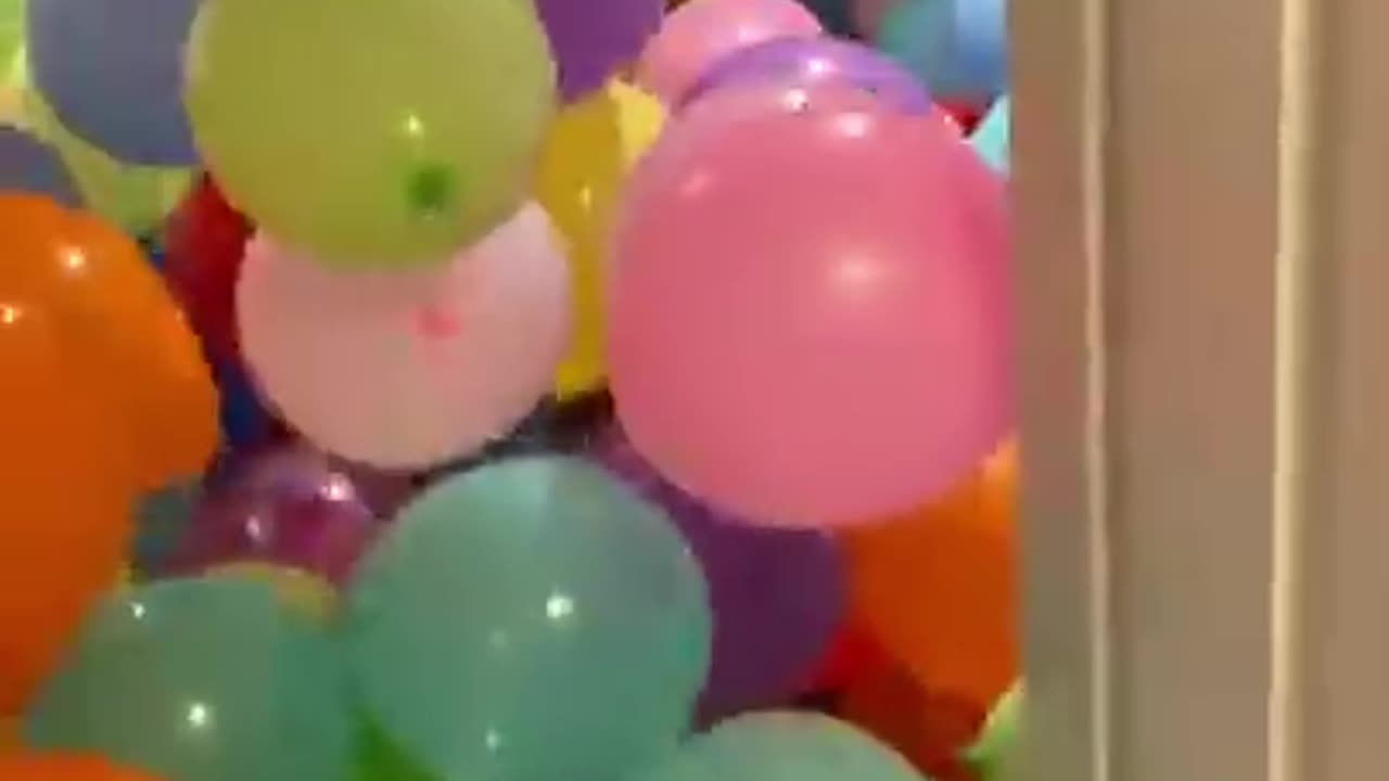 Balloon Prank with a Twist! - ShammiClips