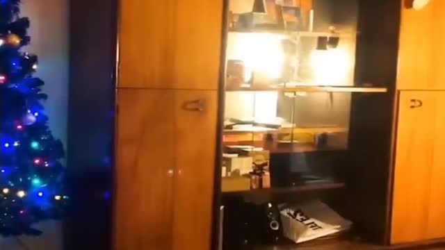 Funniest Videos 2022 - Funny Cats and Dogs