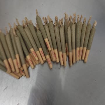 Pre-rolling them joints