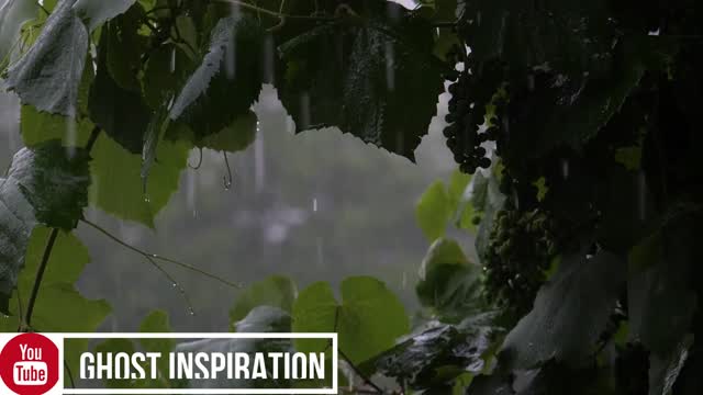 AFFIRMATIONS | Relaxing power thoughts for deep