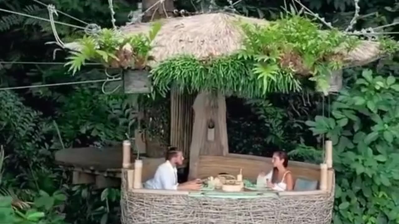 Hey I can get rid the body is the iphone SE have