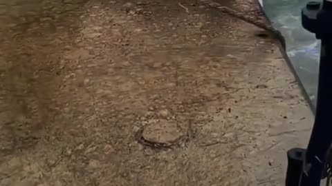 Ohhhhh a big boat in trouble