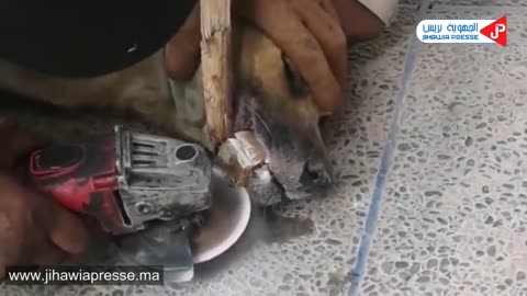Rescue stray , abandoned dog,mama dog rescued on heart touching video #2022