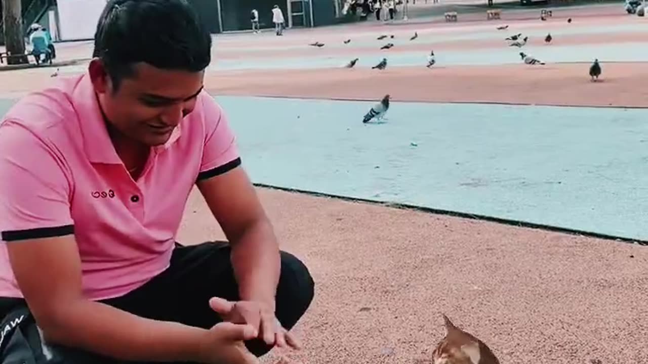 New, Fresh, Funny 😀🤣 videos for our kids 😀🤠🦜🐪💗 viewers.