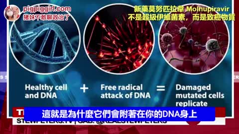 【Merck公司新药致癌】莫努匹拉韋（Molnupiravir）修改DNA，还致癌，比神药伊维菌素贵40倍！划算嗎？看來現在不止疫苗不可亂打，新藥也必須研究清楚不可亂服藥！
