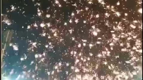 Satisfying Iron Fireworks 🎇🎇