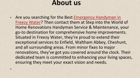 Best Emergency Handyman in Freezy Water.