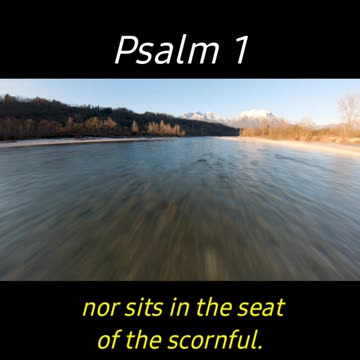 Stay Planted 🏝 by the River of GOD✨️(Psalm 1) || #LoveHasAName111 #Psalms