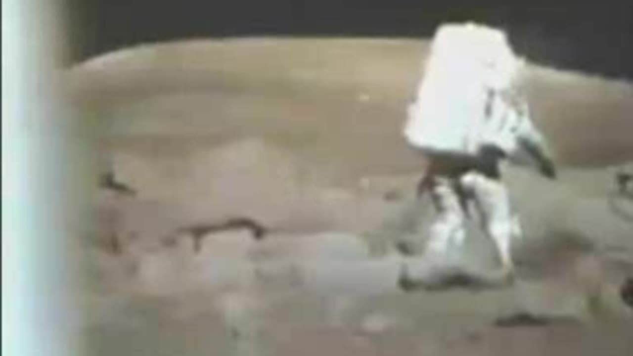 Moon Hoax -Astronaut Calls Rocks Mammals -Houston Asks if Any Cat or Dog Rocks