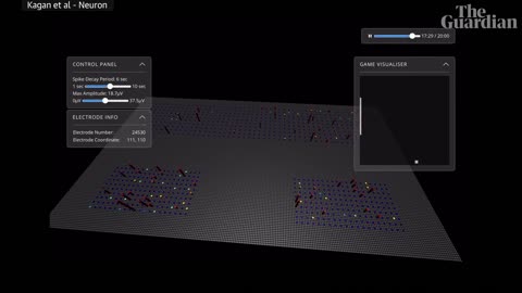 Researchers teach brain cells in a dish to play Pong