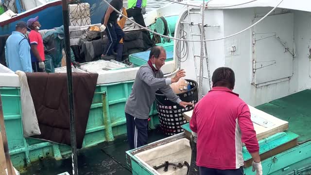 For the harvest of bluefin tuna, a large tow truck is dispatched