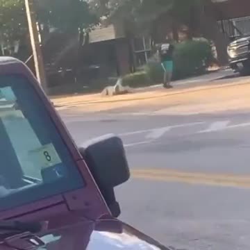 Whites Are Getting Systematically Targeted and Assaulted as Part of "Knockout Game"