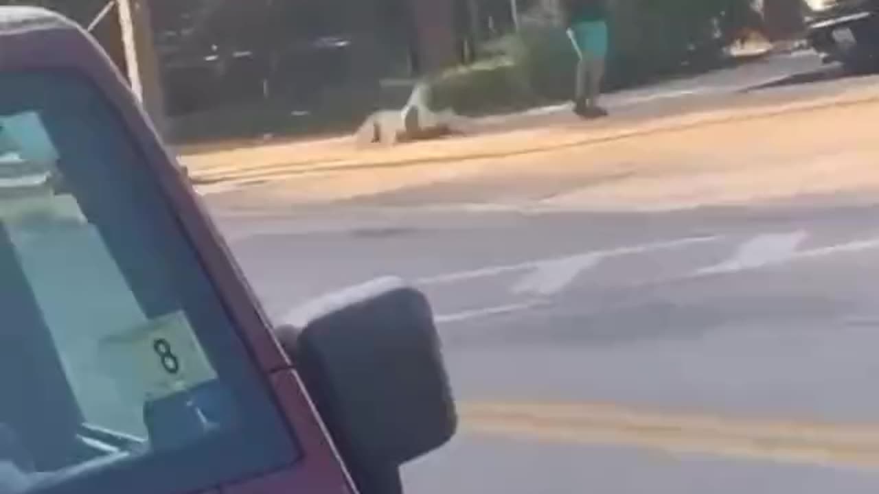 Whites Are Getting Systematically Targeted and Assaulted as Part of "Knockout Game"