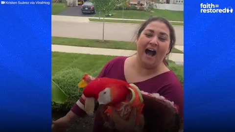 This Woman's Love For Her Parrot Is Everything Humanity Needs | The Dodo Faith = Restored