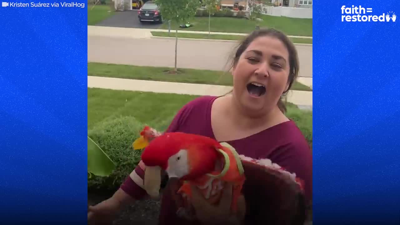 This Woman's Love For Her Parrot Is Everything Humanity Needs | The Dodo Faith = Restored