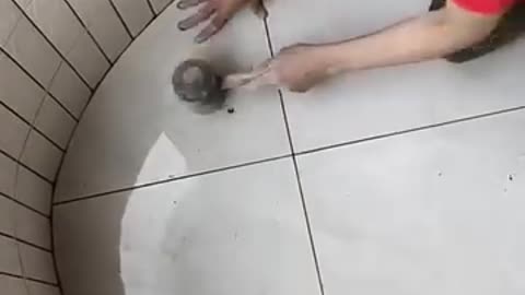 Tiling never been so easy