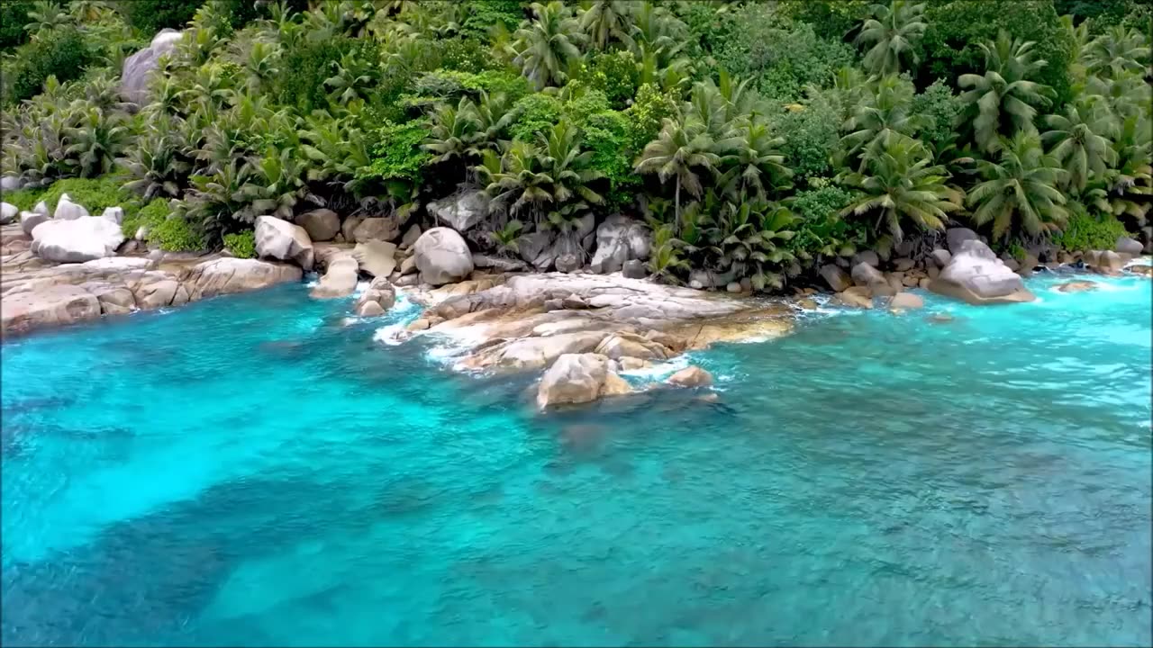 Nature views from above with a drone