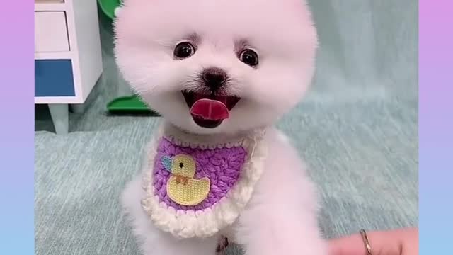 A sweet little smile