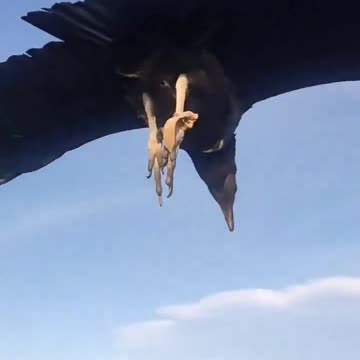 To come across an amazing event. 😍