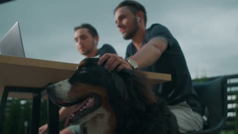 Cute Dog