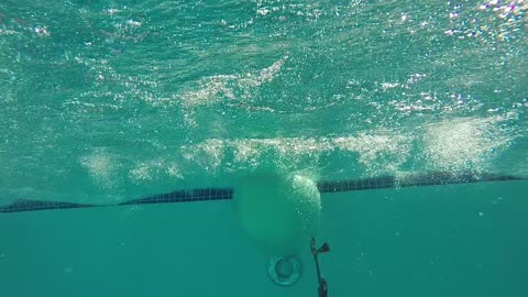 4 Feet Down