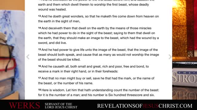 The IMAGE of the BEAST Revealed (REV 13) - WARNING: Not for Everyone