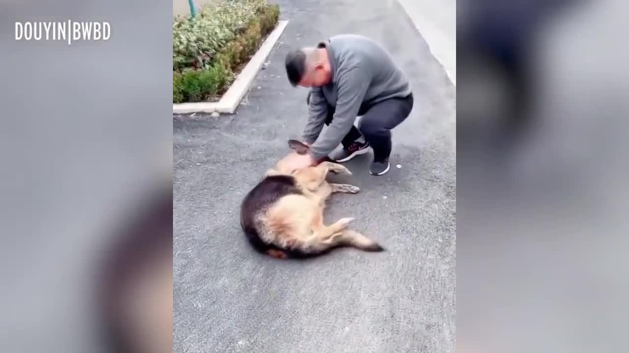 Former Police Dog 'Cries' After Reuniting With Handler She Hasn't Seen For Years