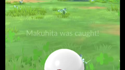 Pokémon GO-Shadow Makuhita