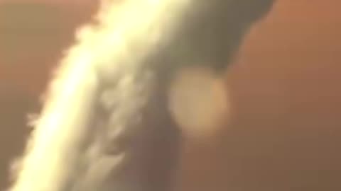 Chemtrails still conspiracy theory?