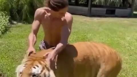 Funny Animal Video