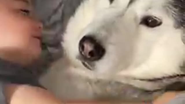 The Full 4 Year Story Of My Husky & Baby Becoming Best Friends!!