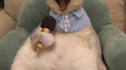 the cat sings with his life