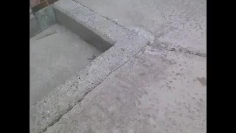 The Crucial Half an Inch